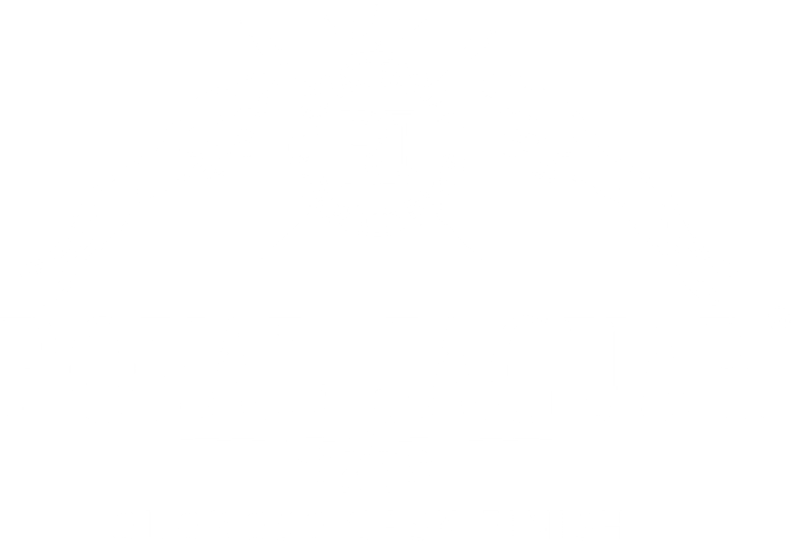 logo light